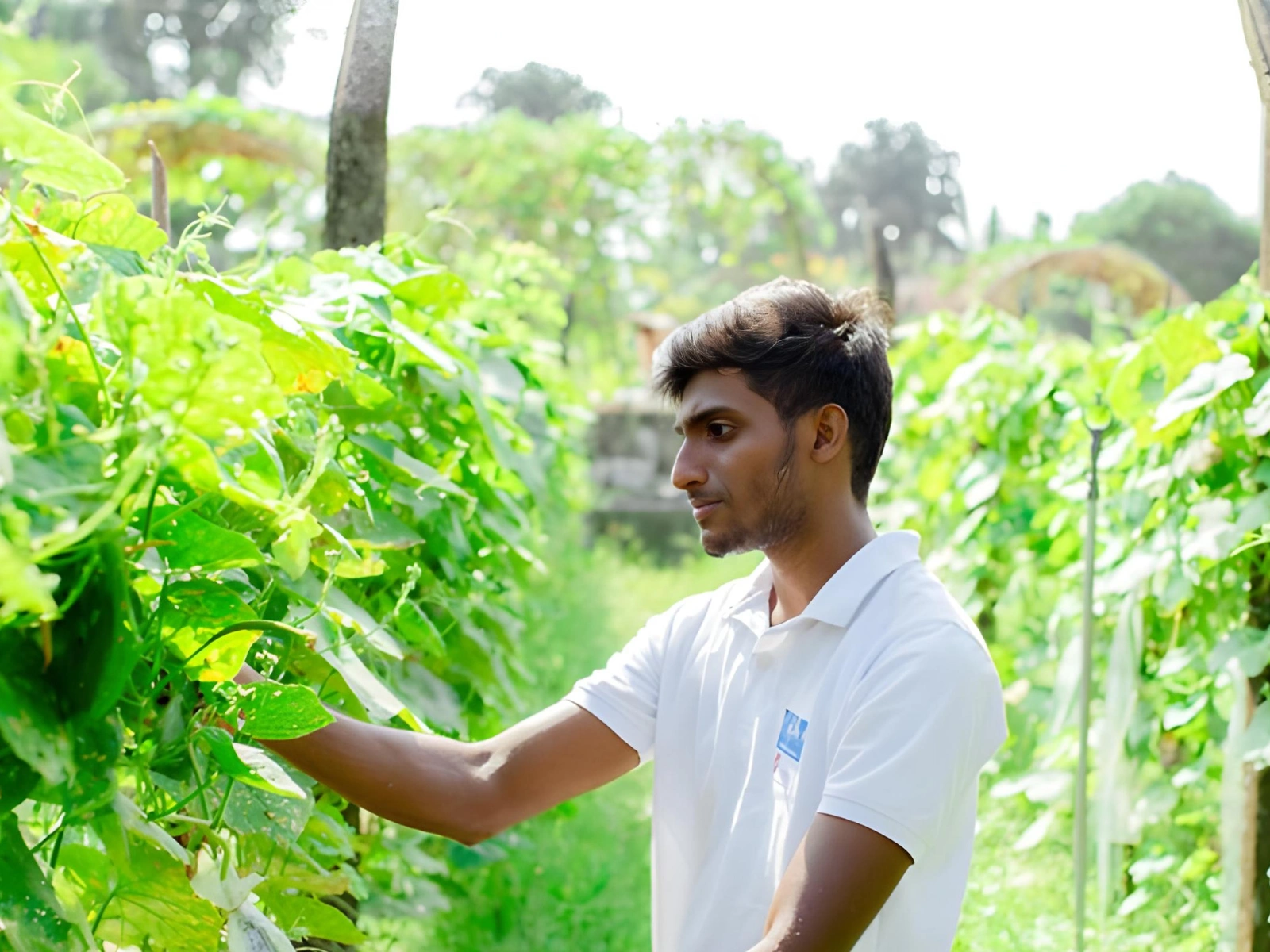 Agriculture Program With Training